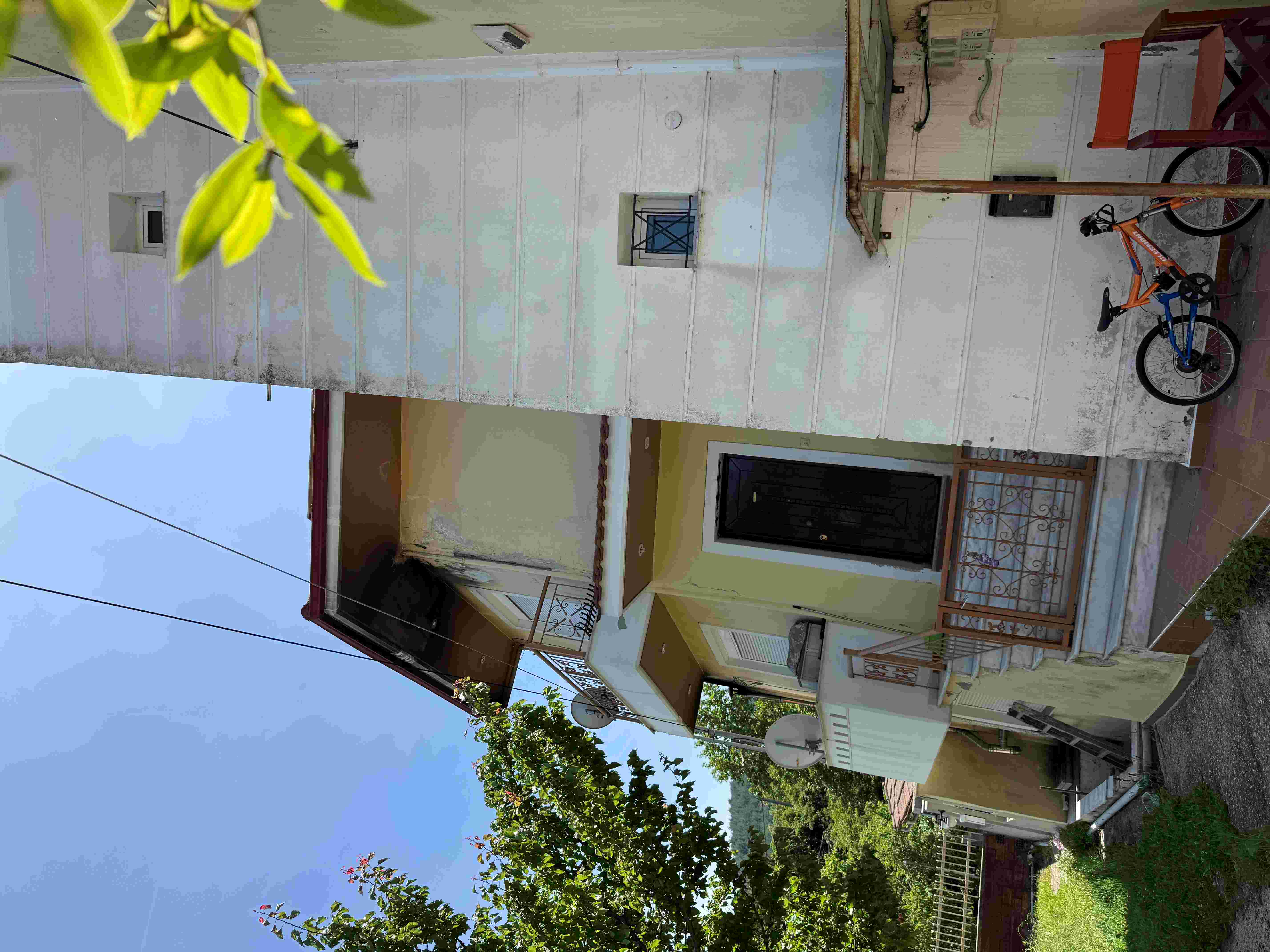 photo1