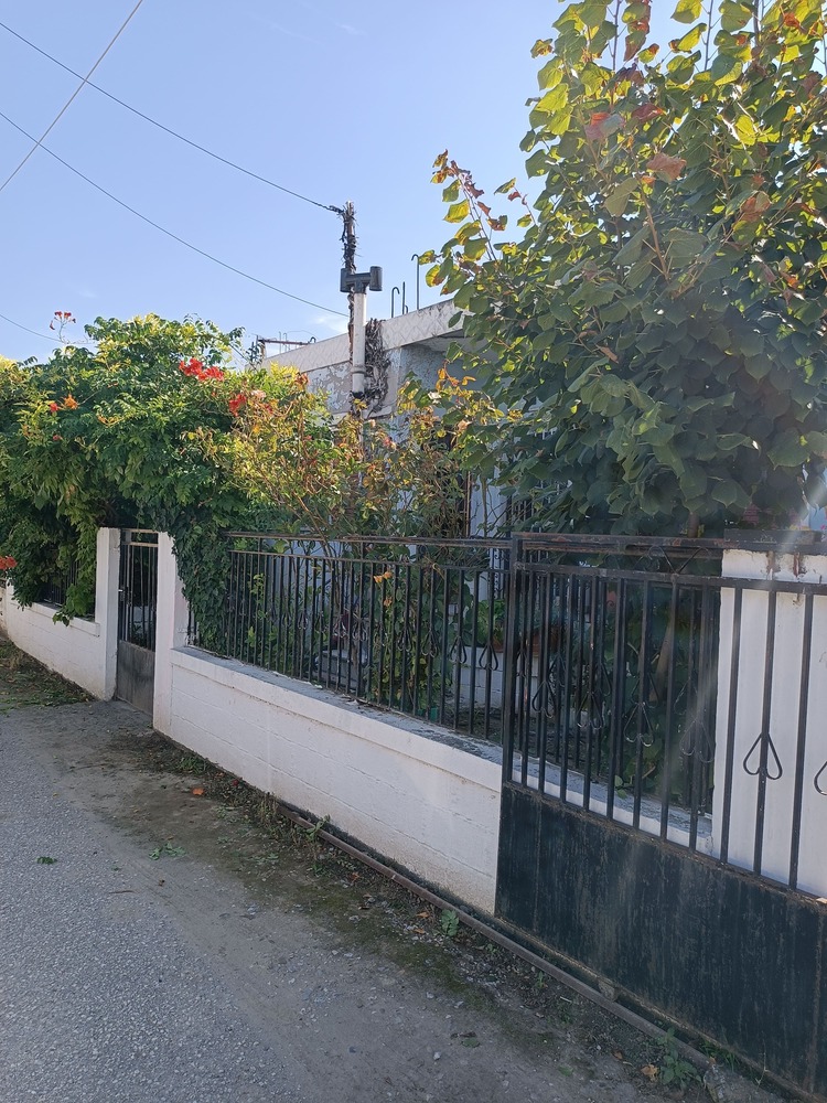photo1
