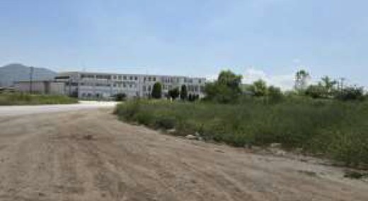 photo1