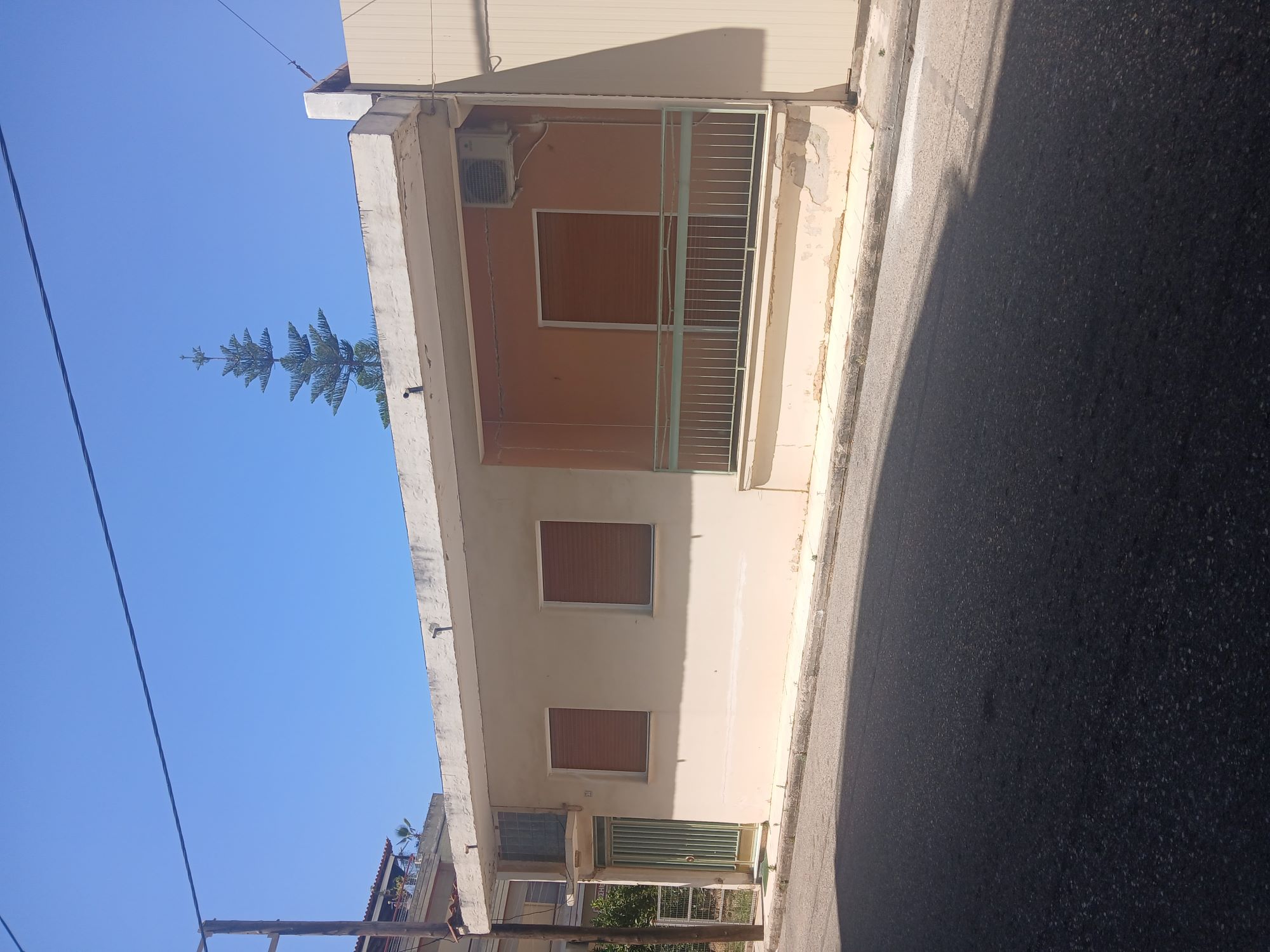 photo3