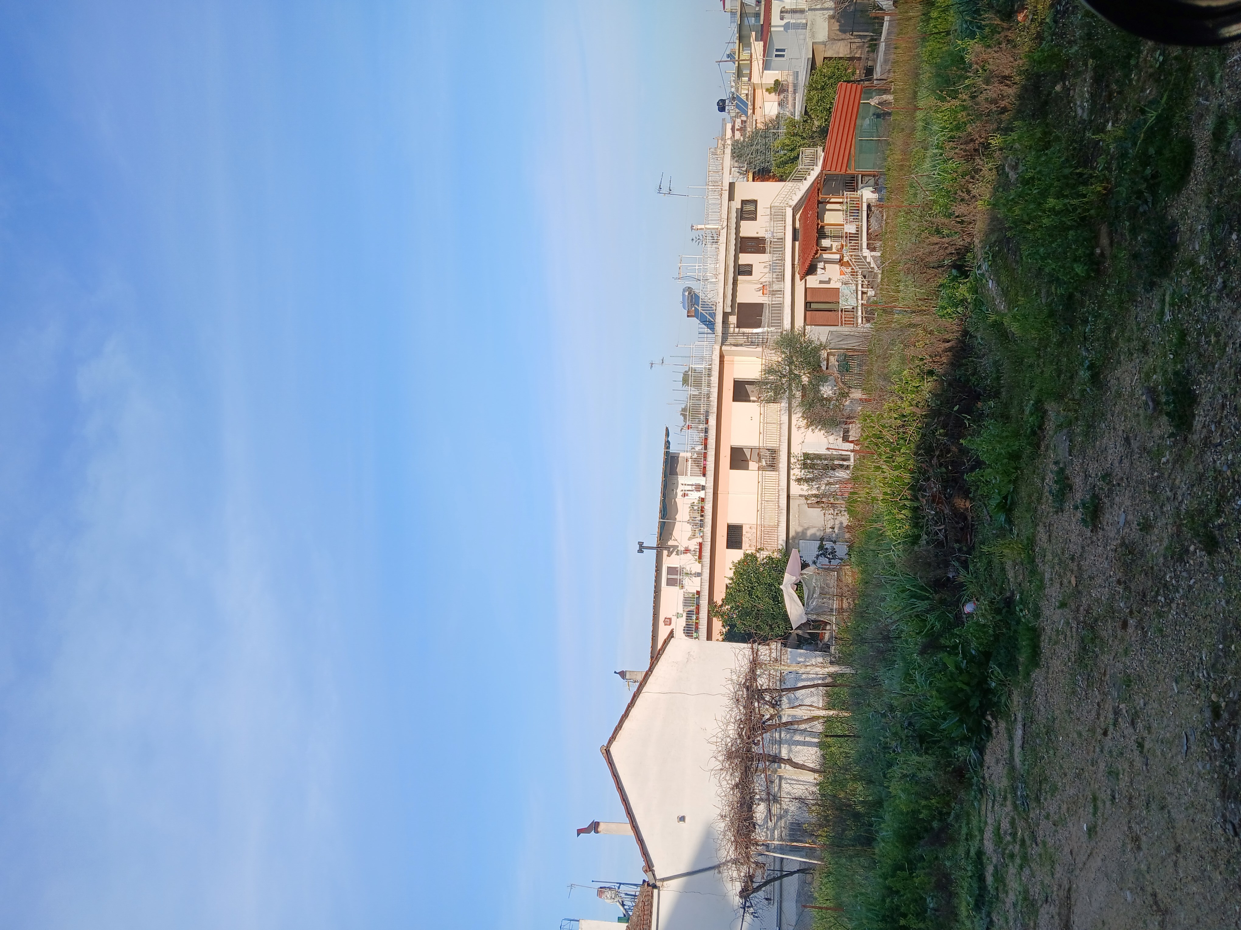 photo4