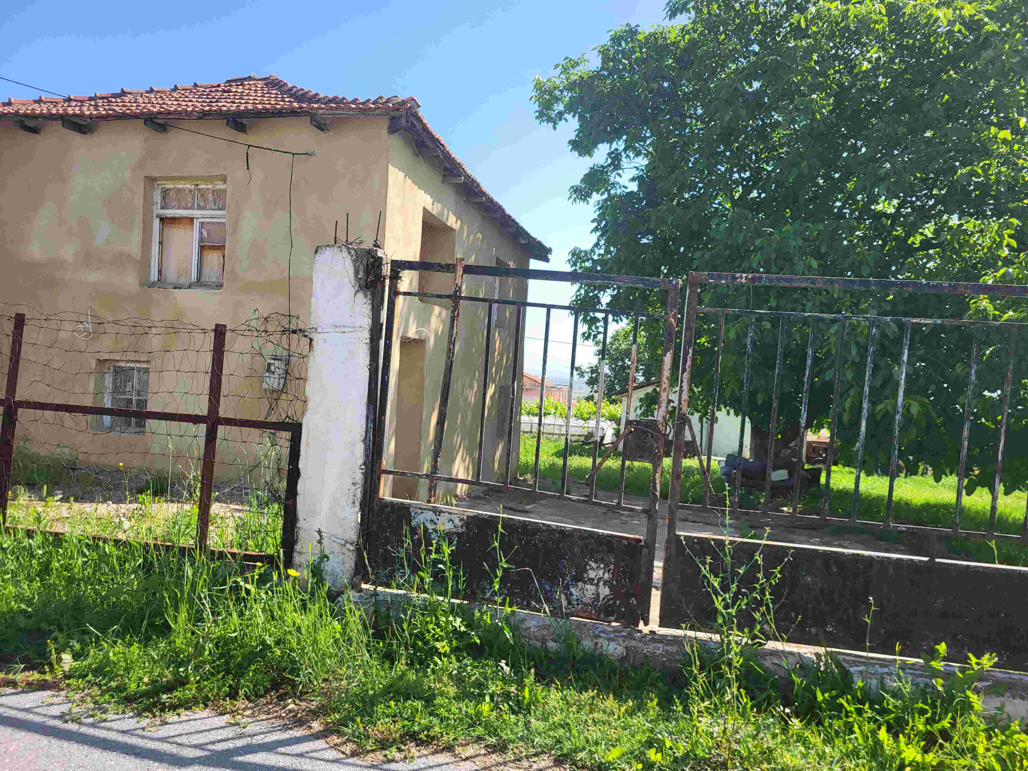photo1