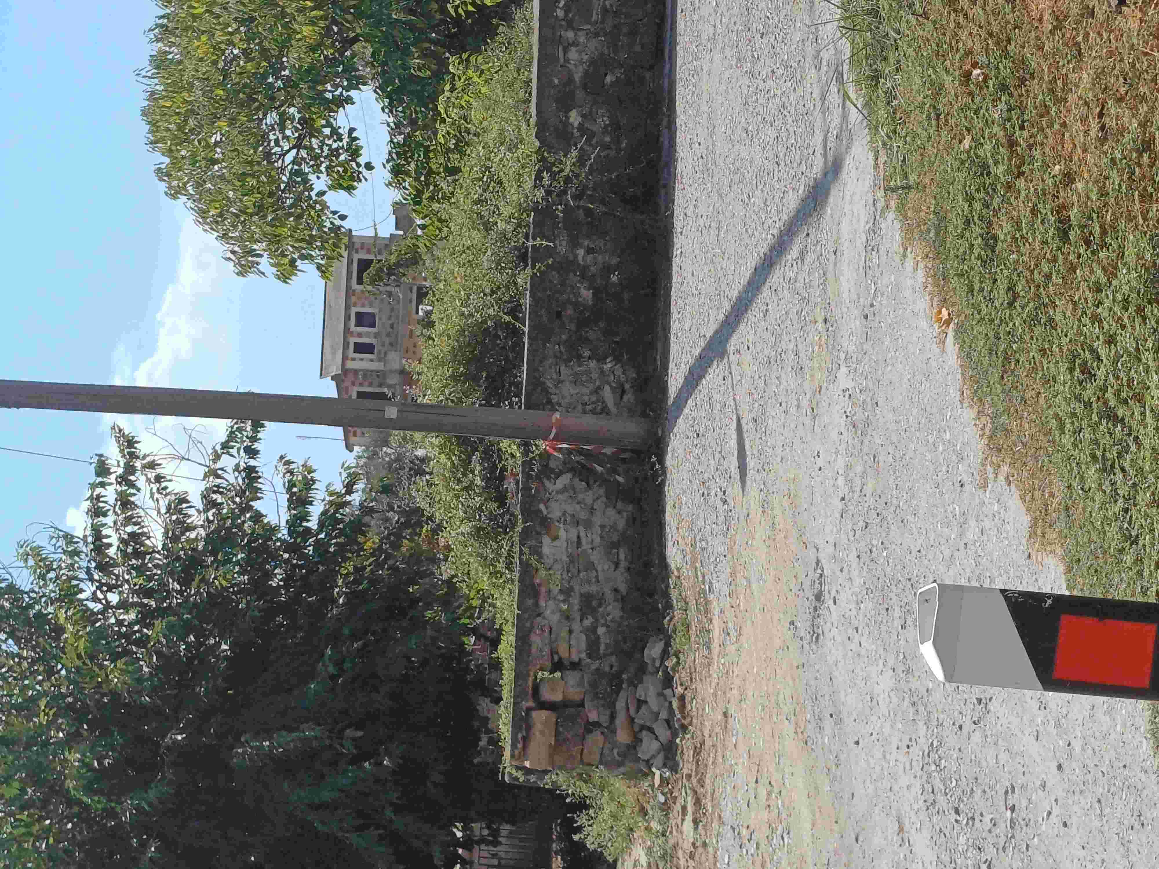 photo2
