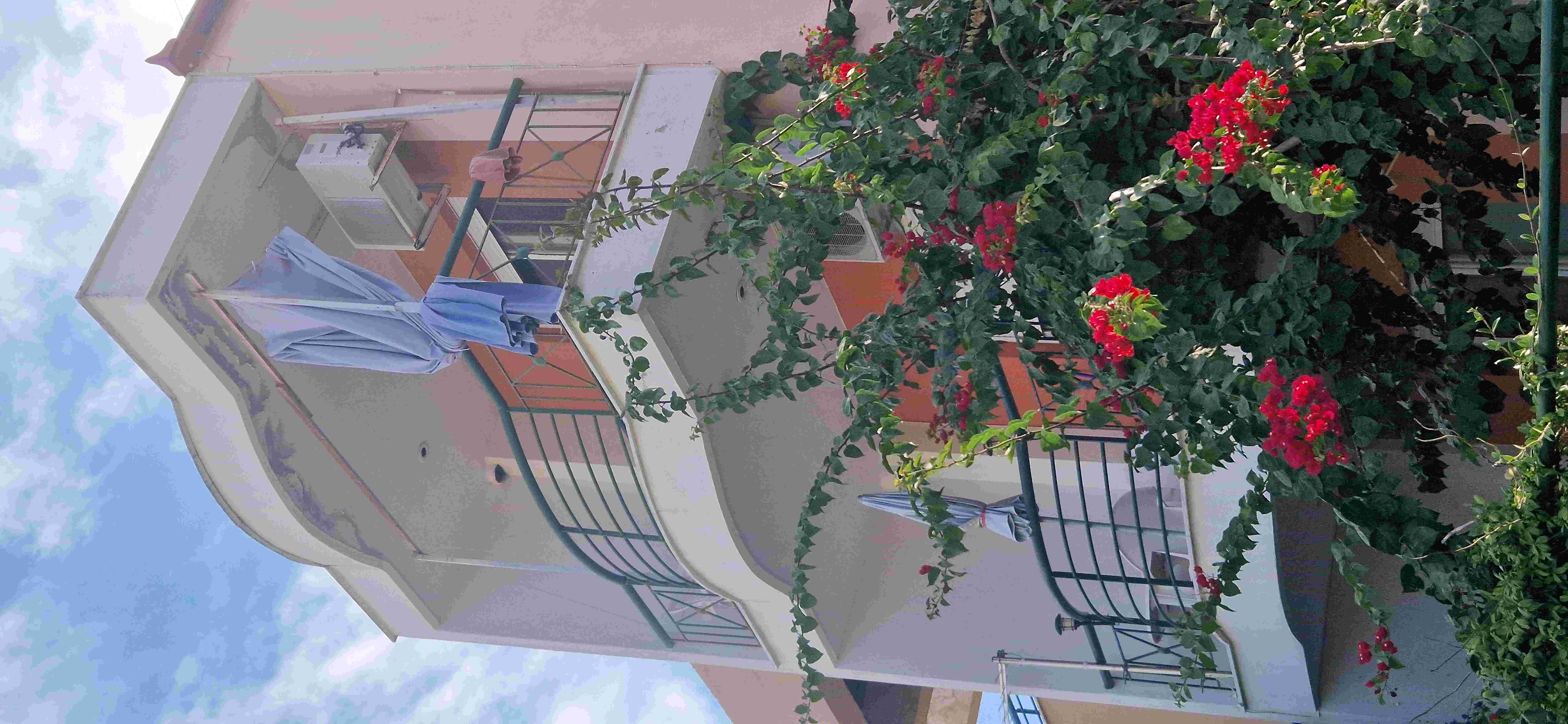 photo1