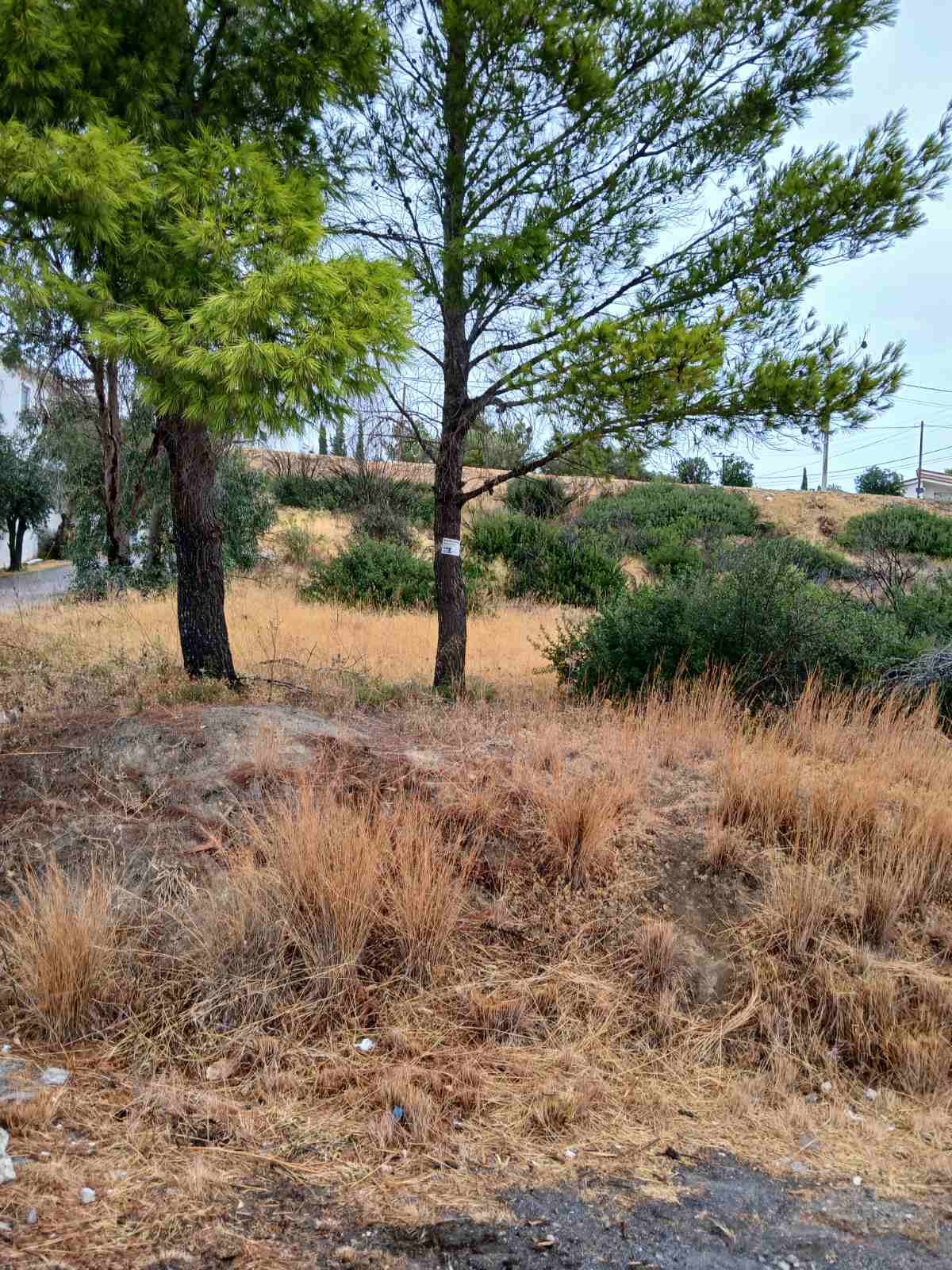 Οικόπεδο  σε πλειστηριασμό Δήμος Παλλήνης