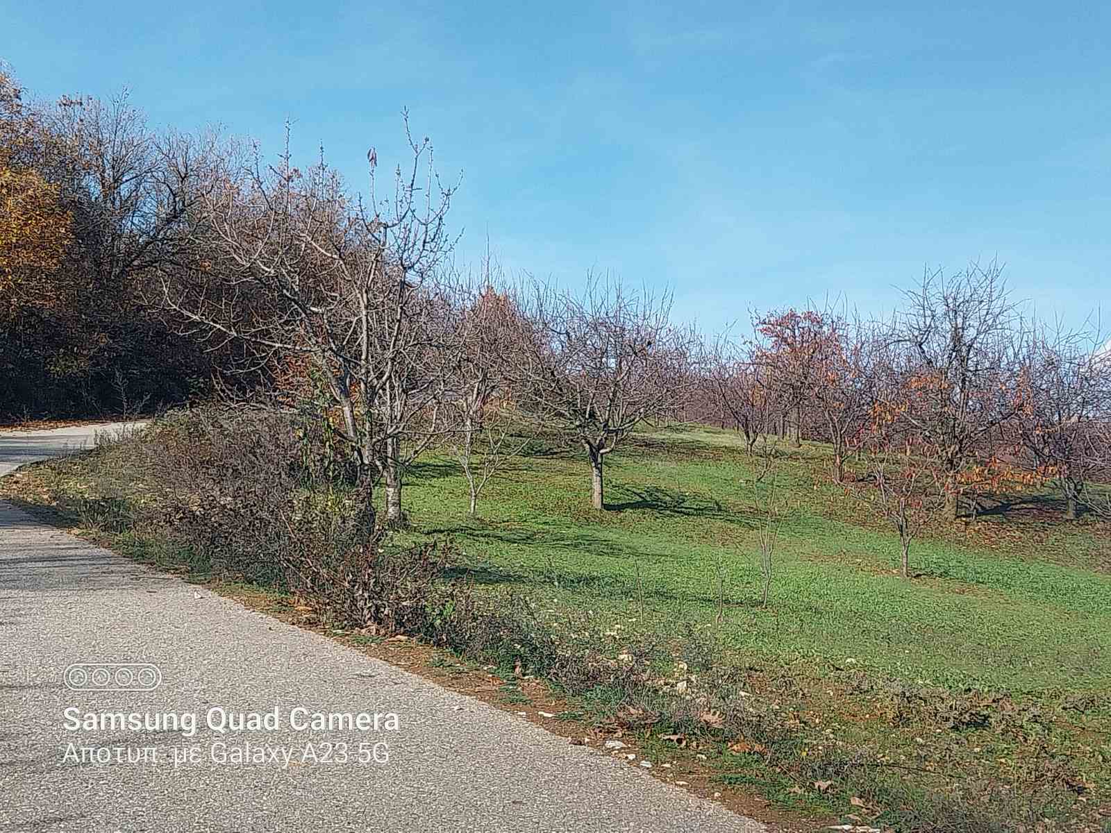 photo12