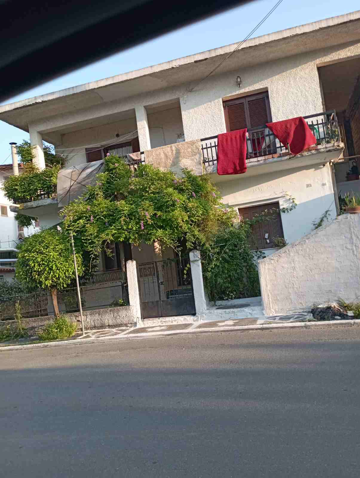 photo3