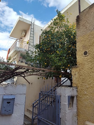 photo1
