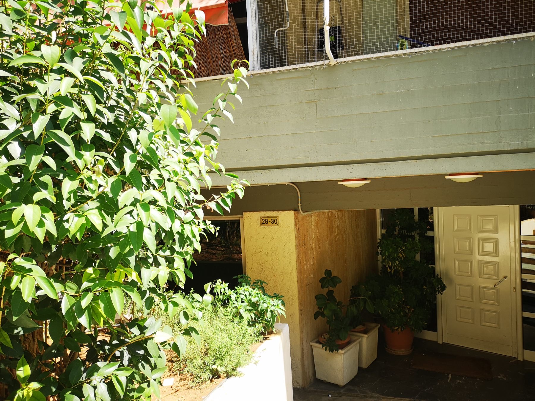 photo1