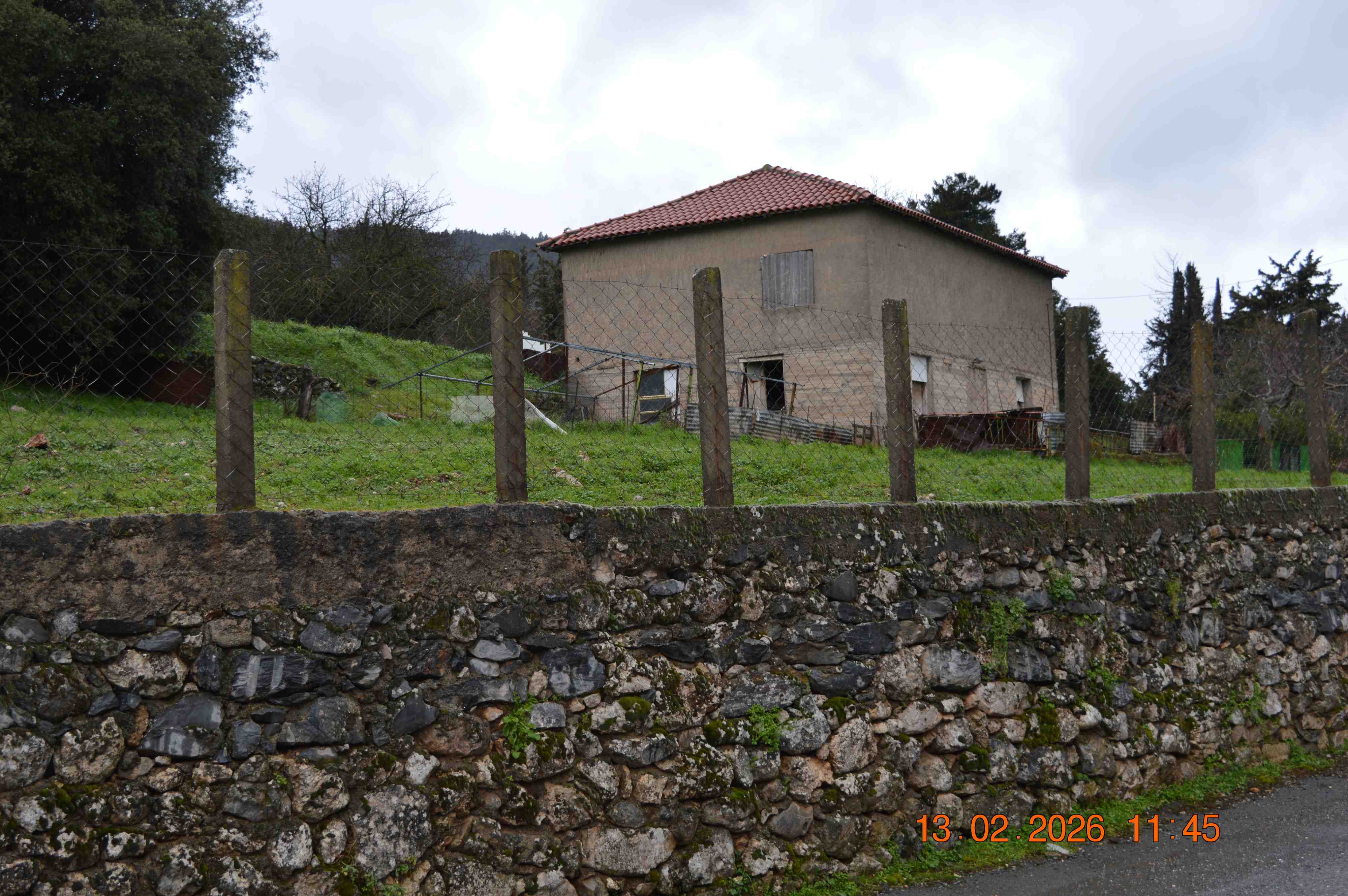 photo0