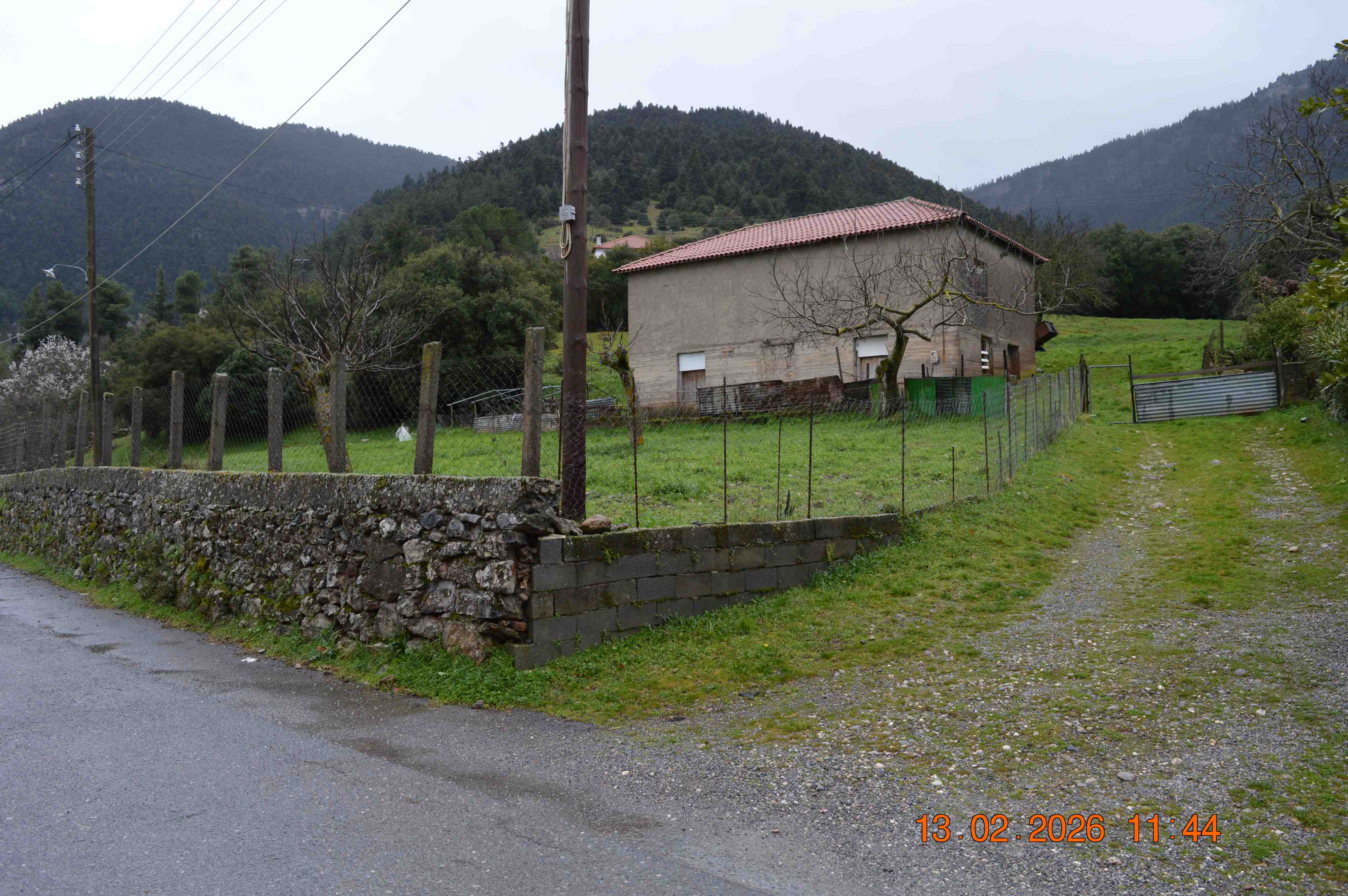 photo1