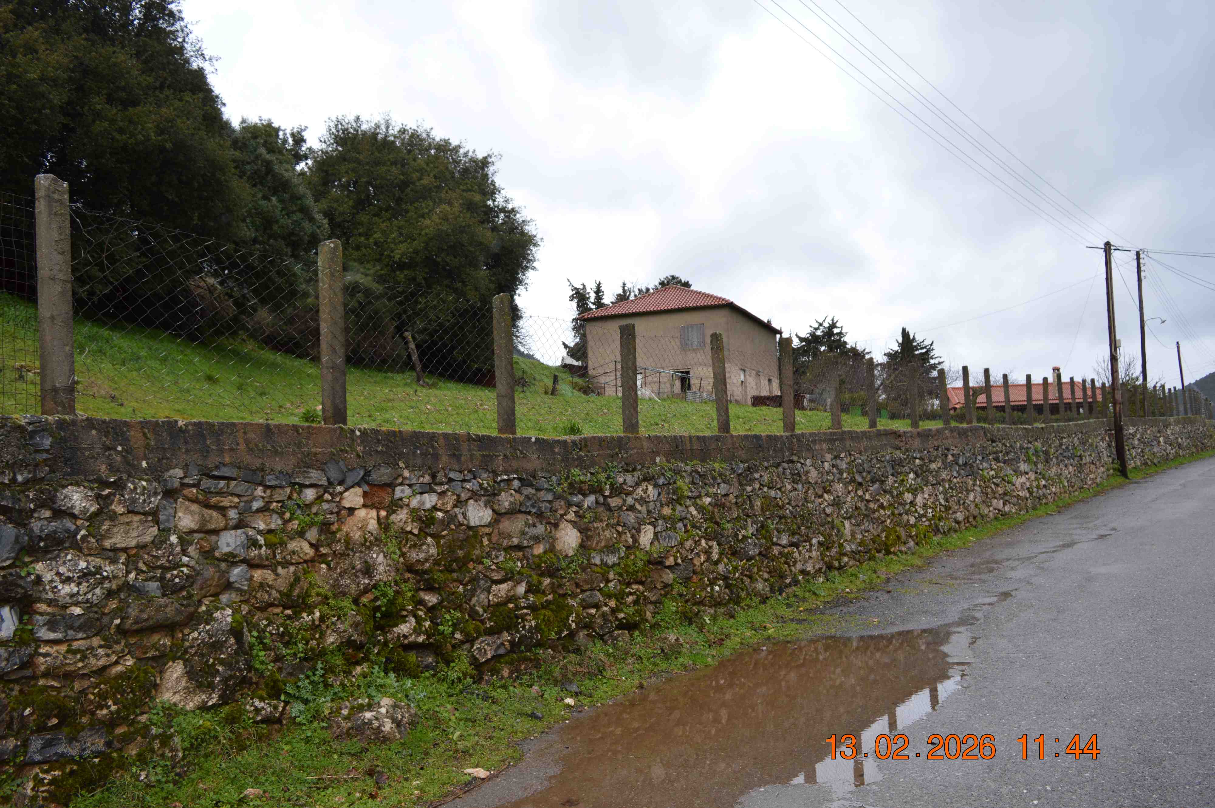 photo2