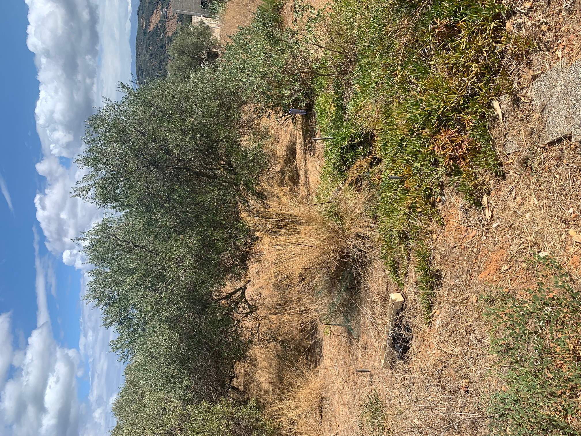 photo4