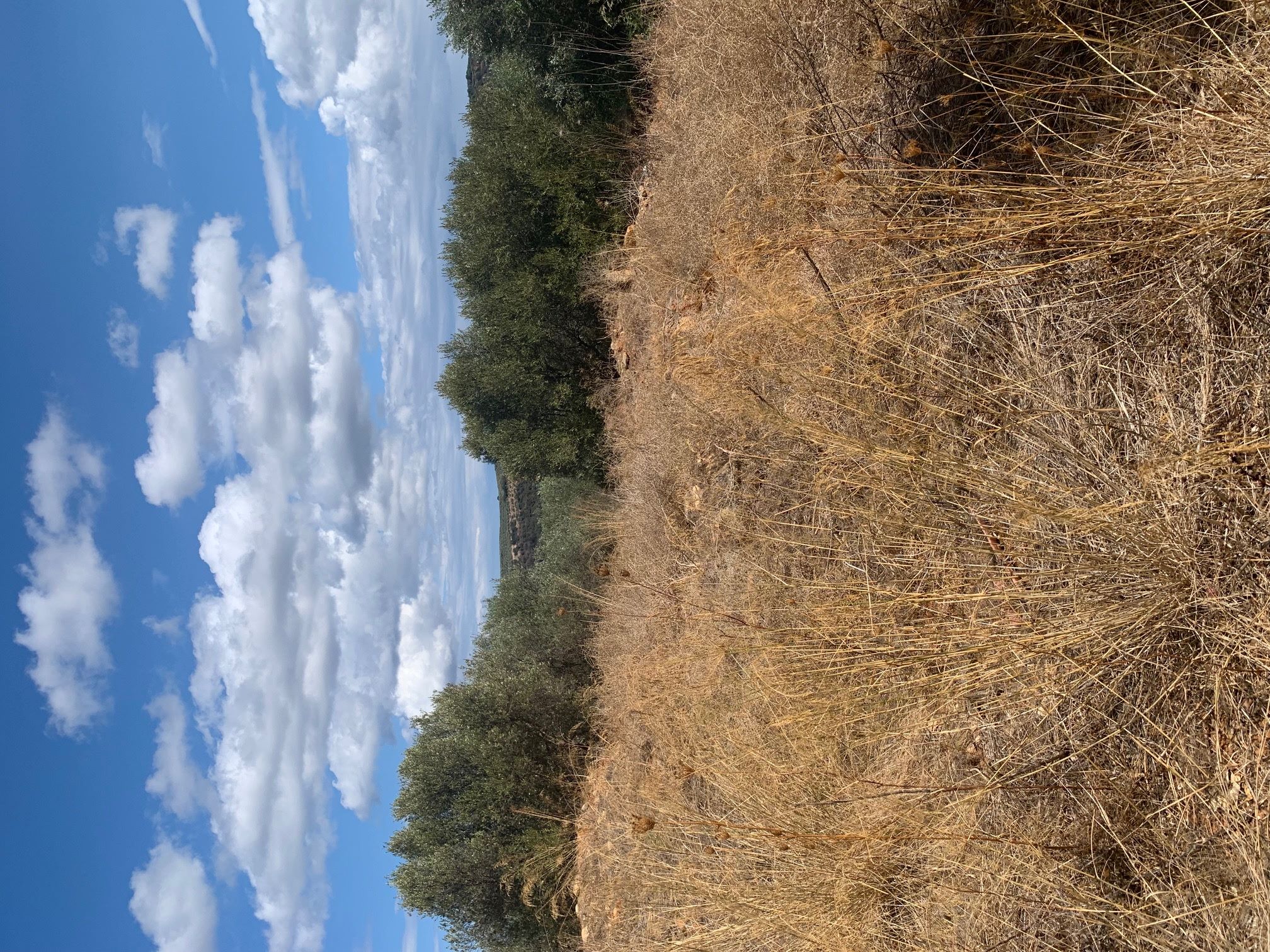 photo6