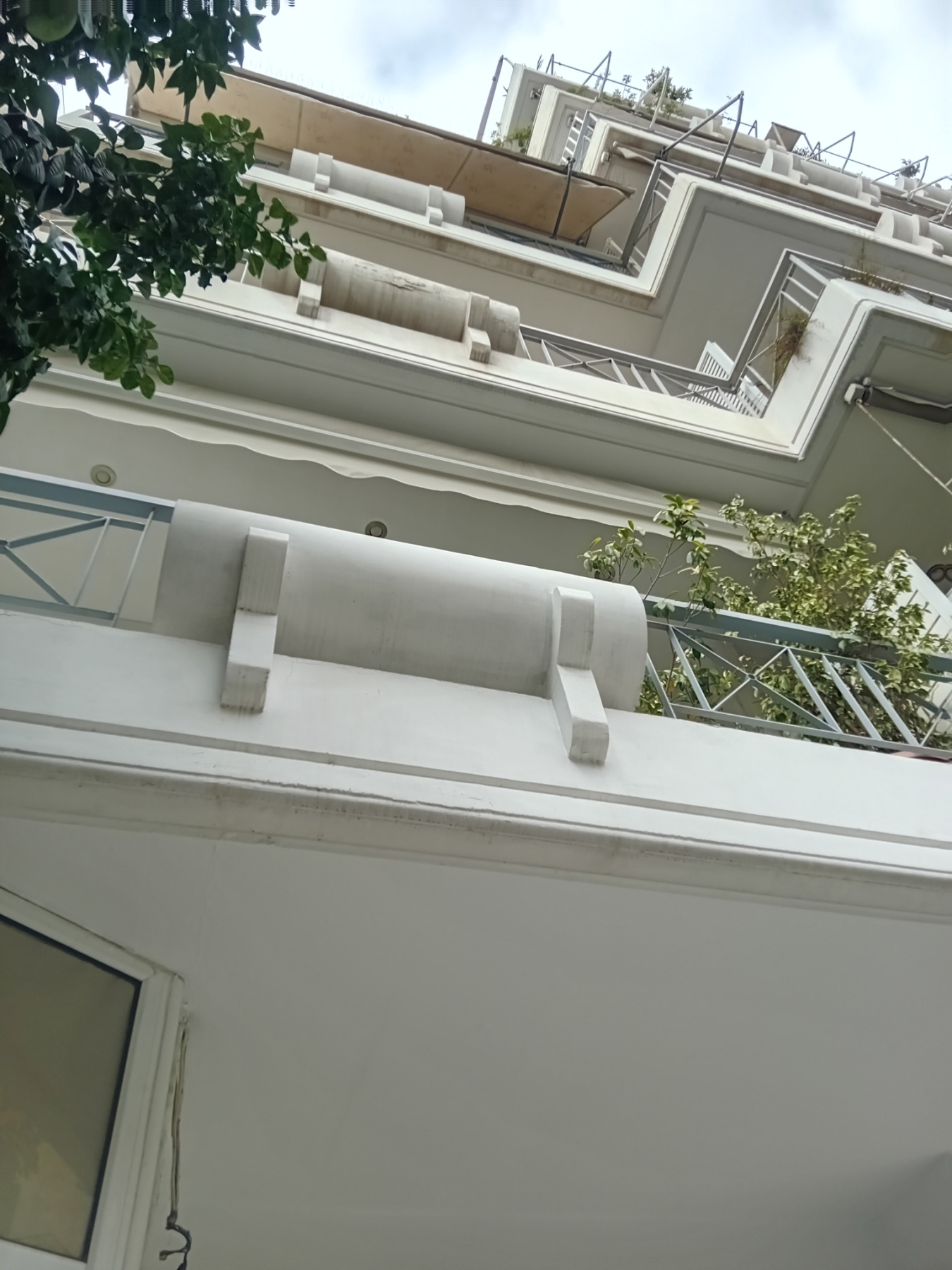 photo1