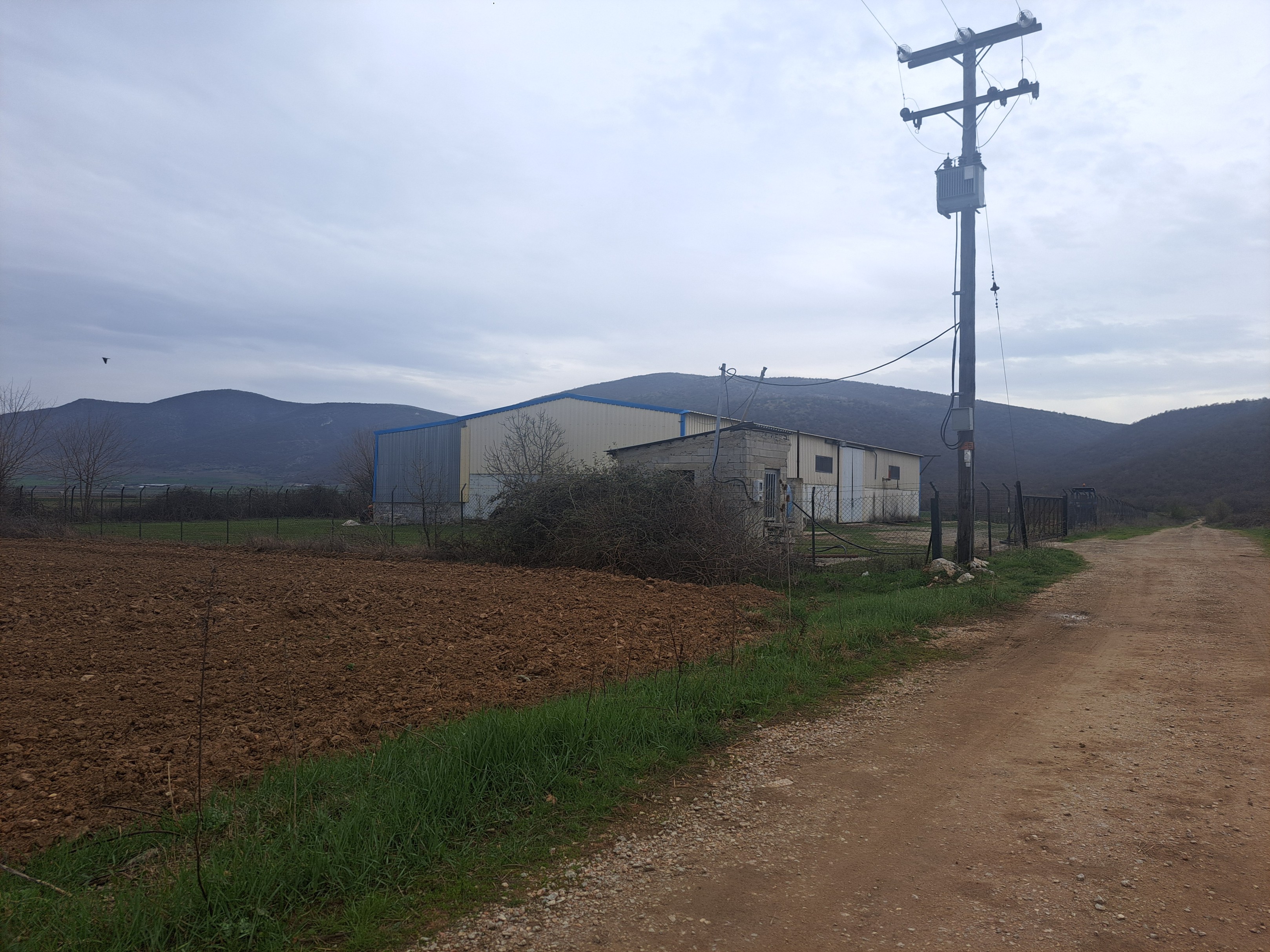 photo0