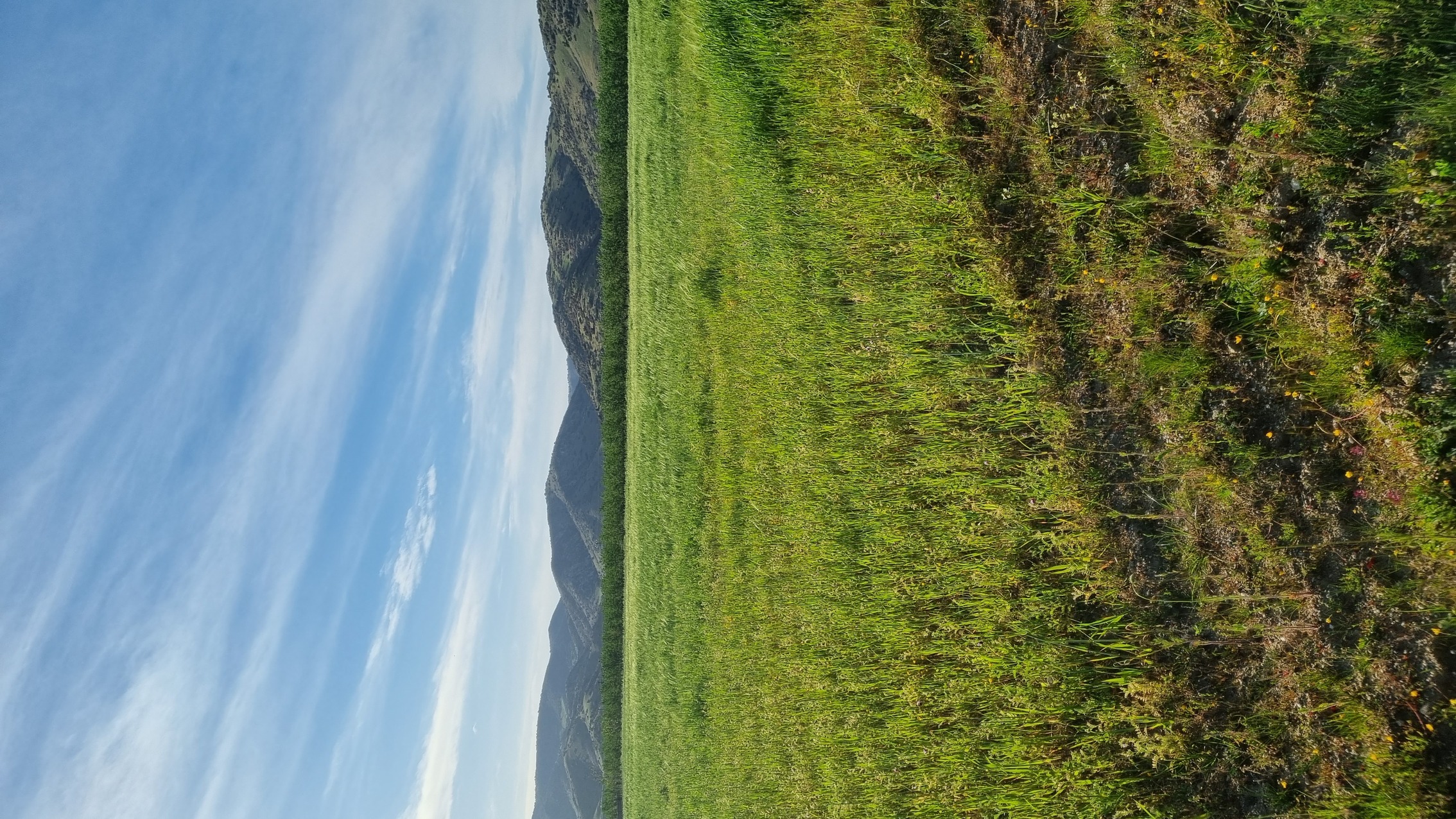 photo0