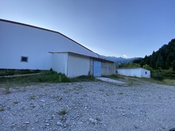 photo1