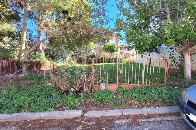 photo1