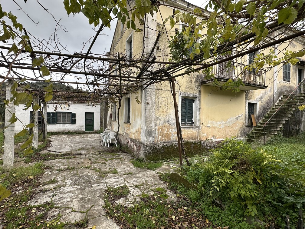 photo3