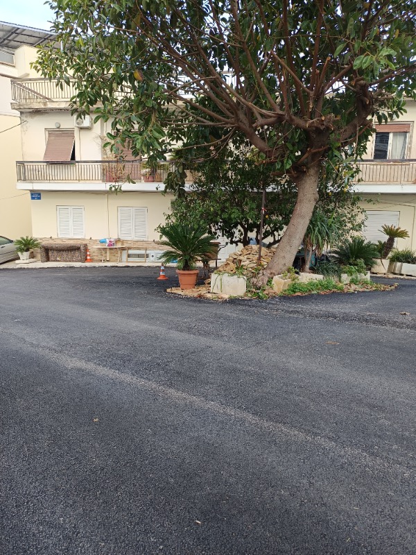 photo1