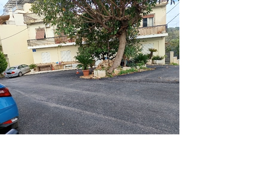 photo2