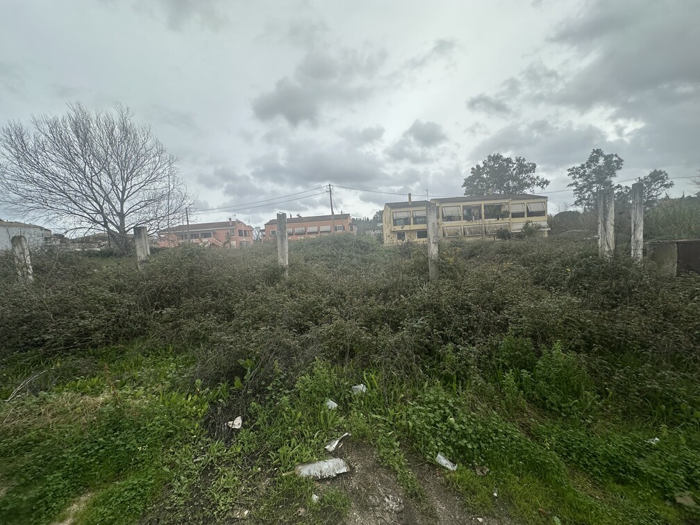 photo0