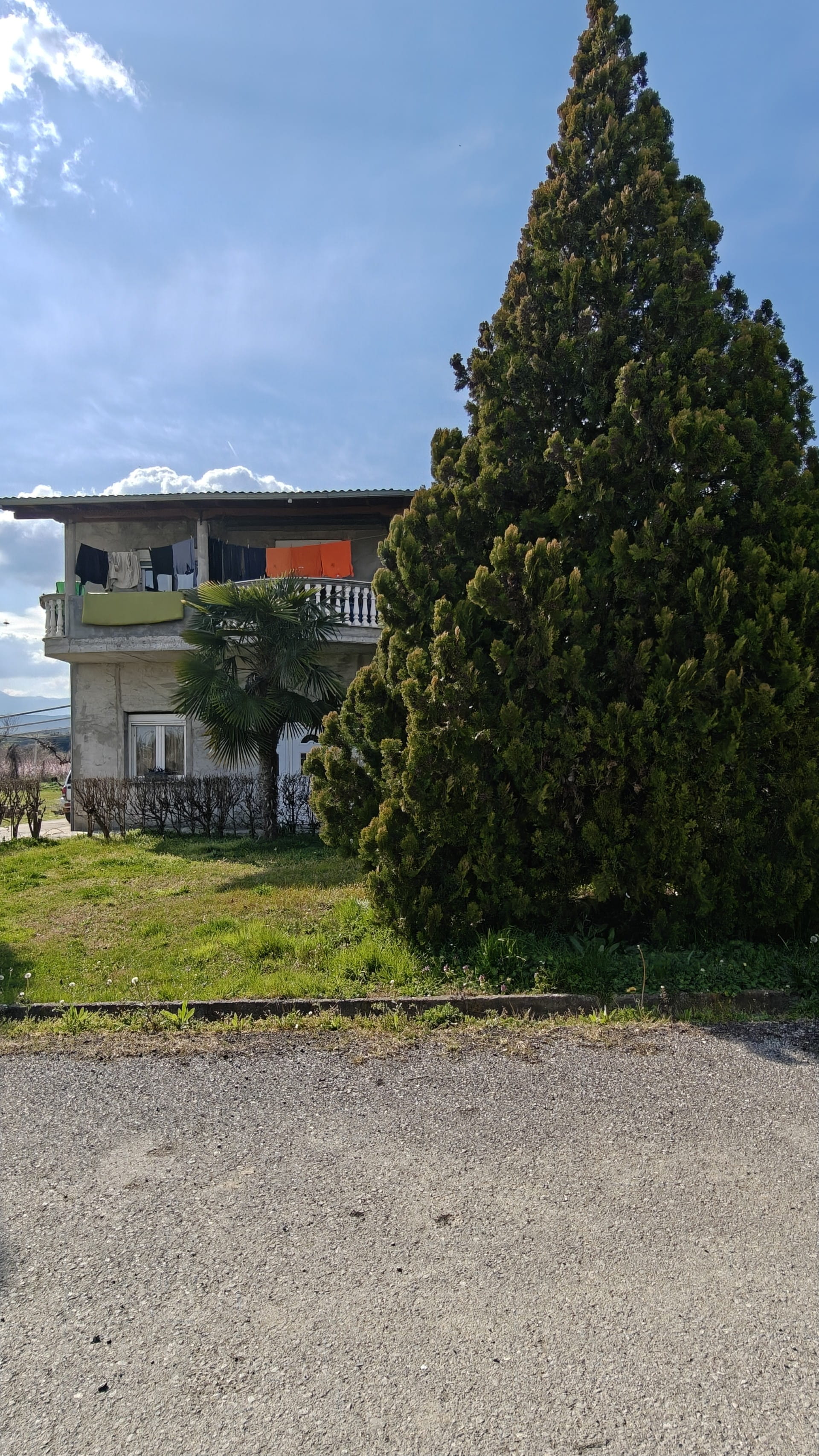 photo0