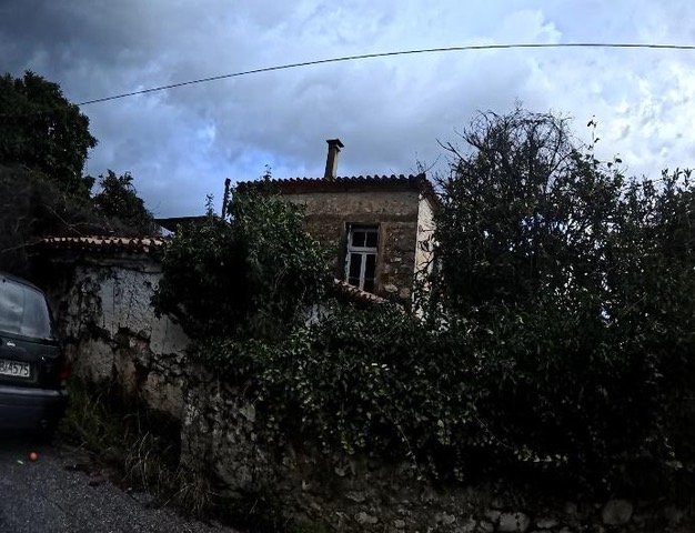 photo1