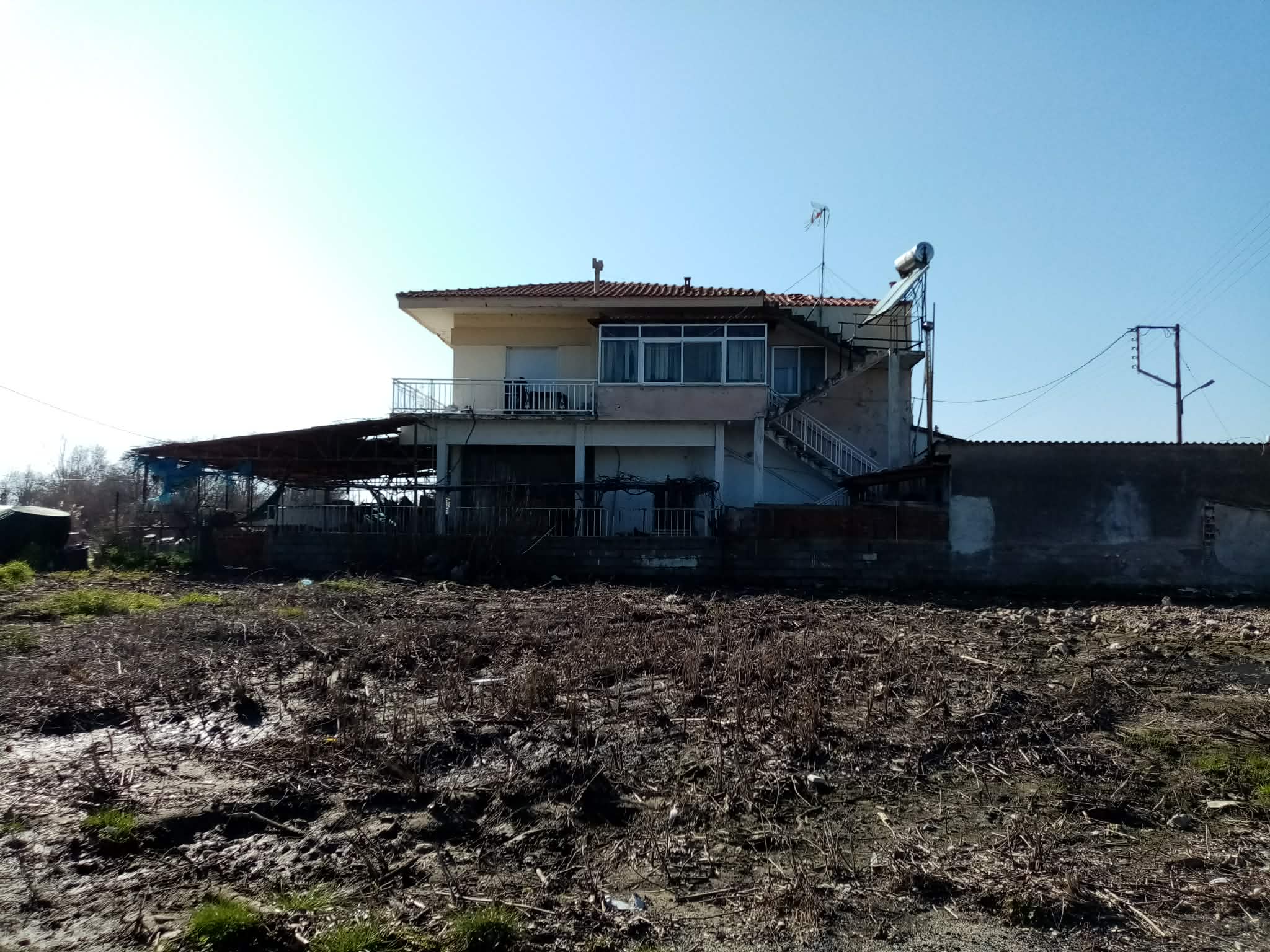 photo1