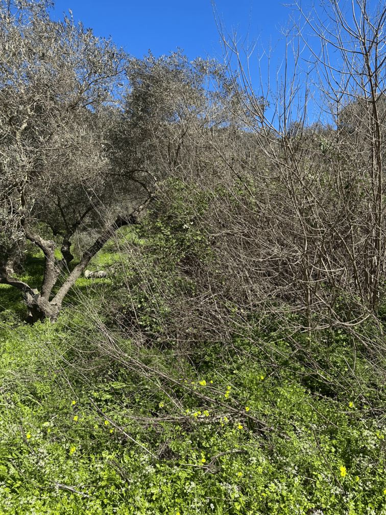 photo1