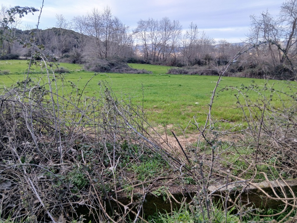 photo0