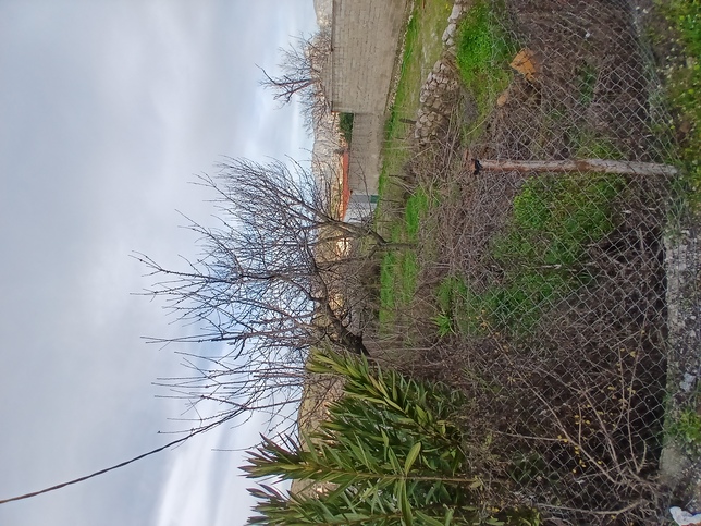 photo2
