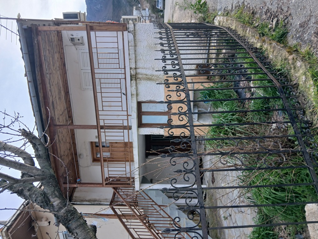 photo4