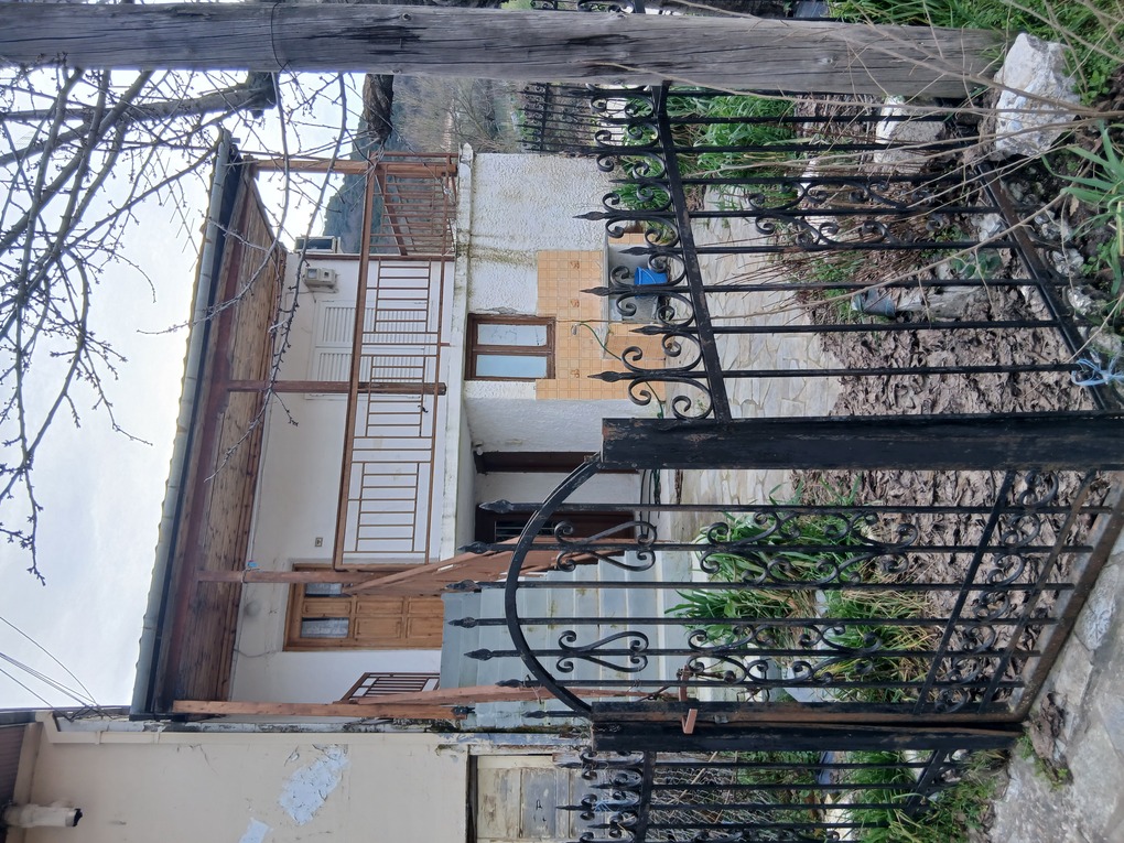 photo5