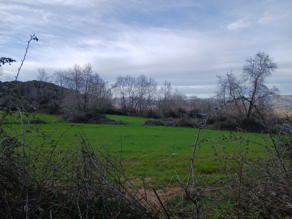 photo7