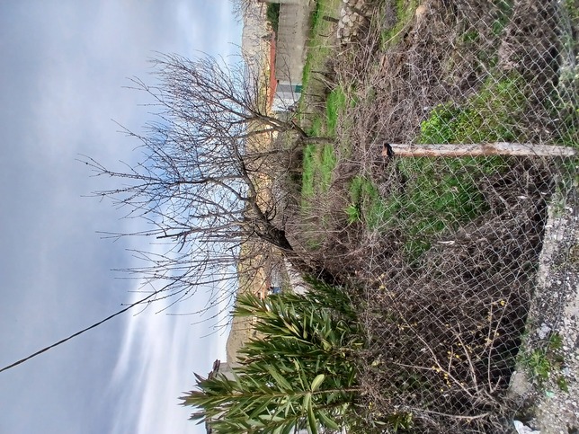 photo1