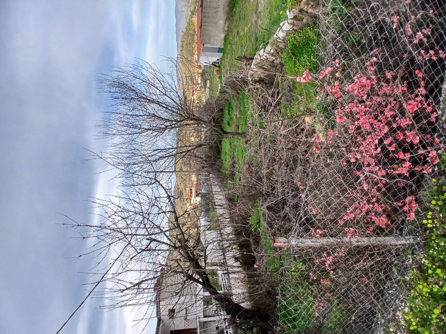 photo6