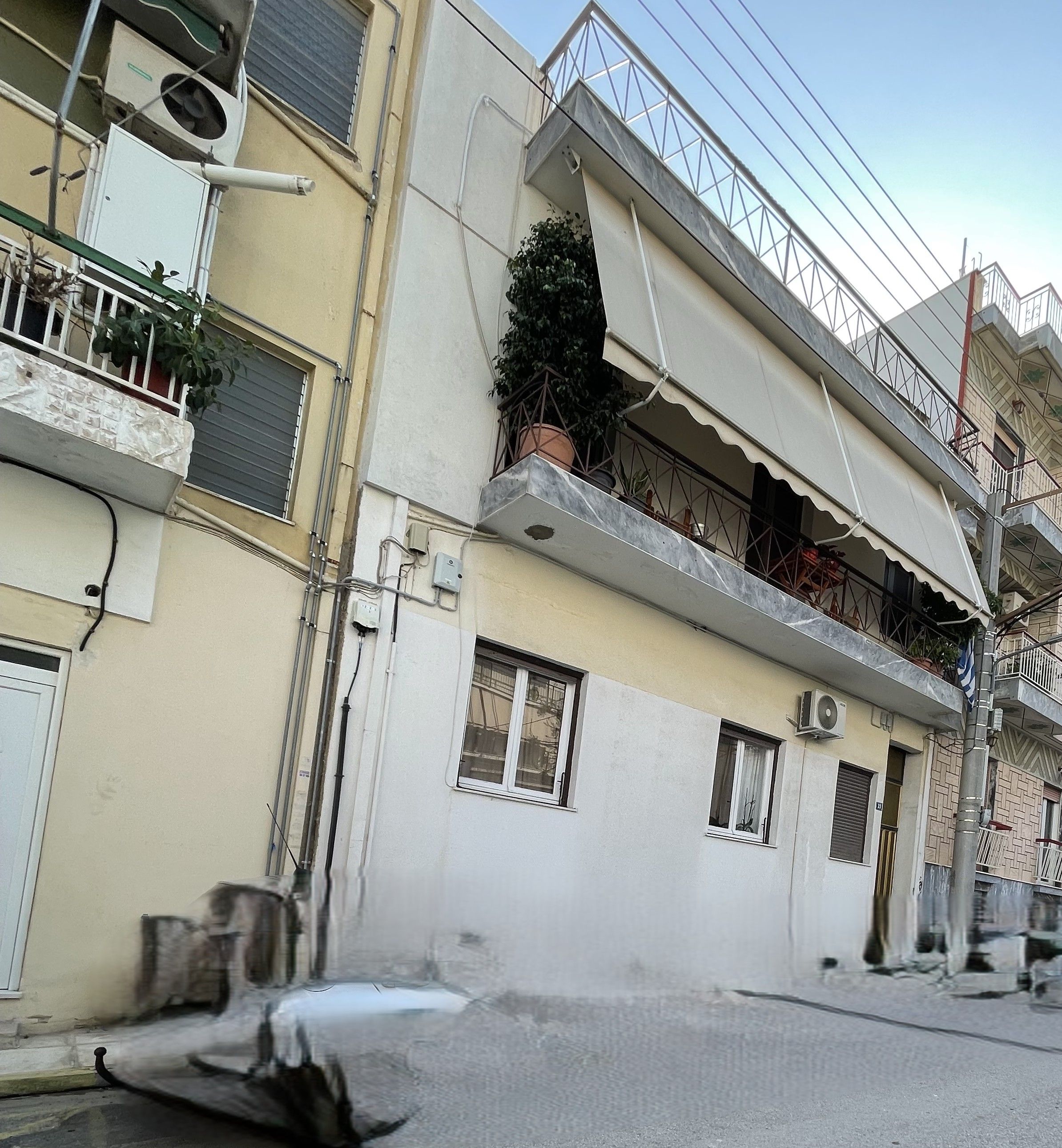 photo1