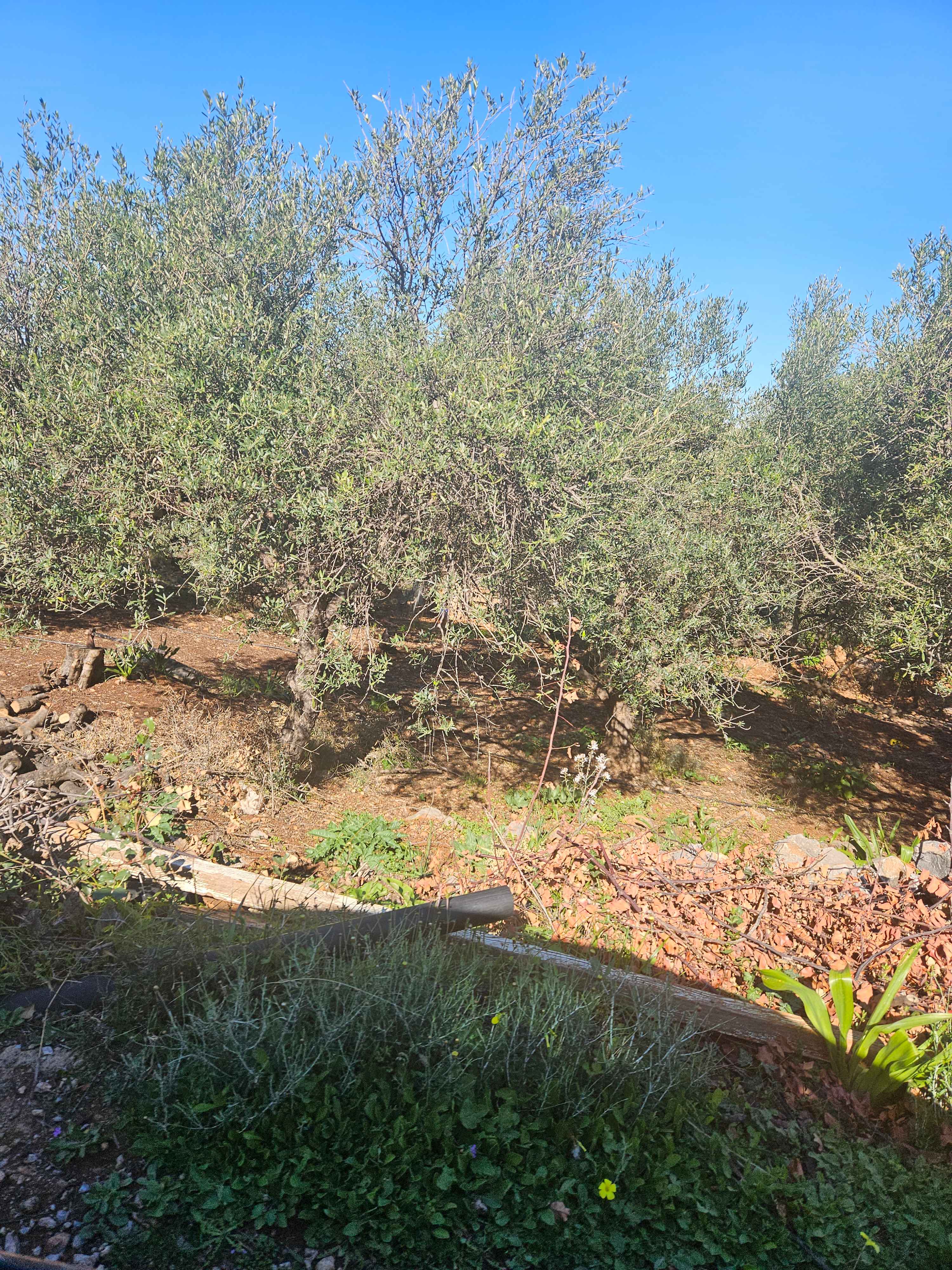 photo2