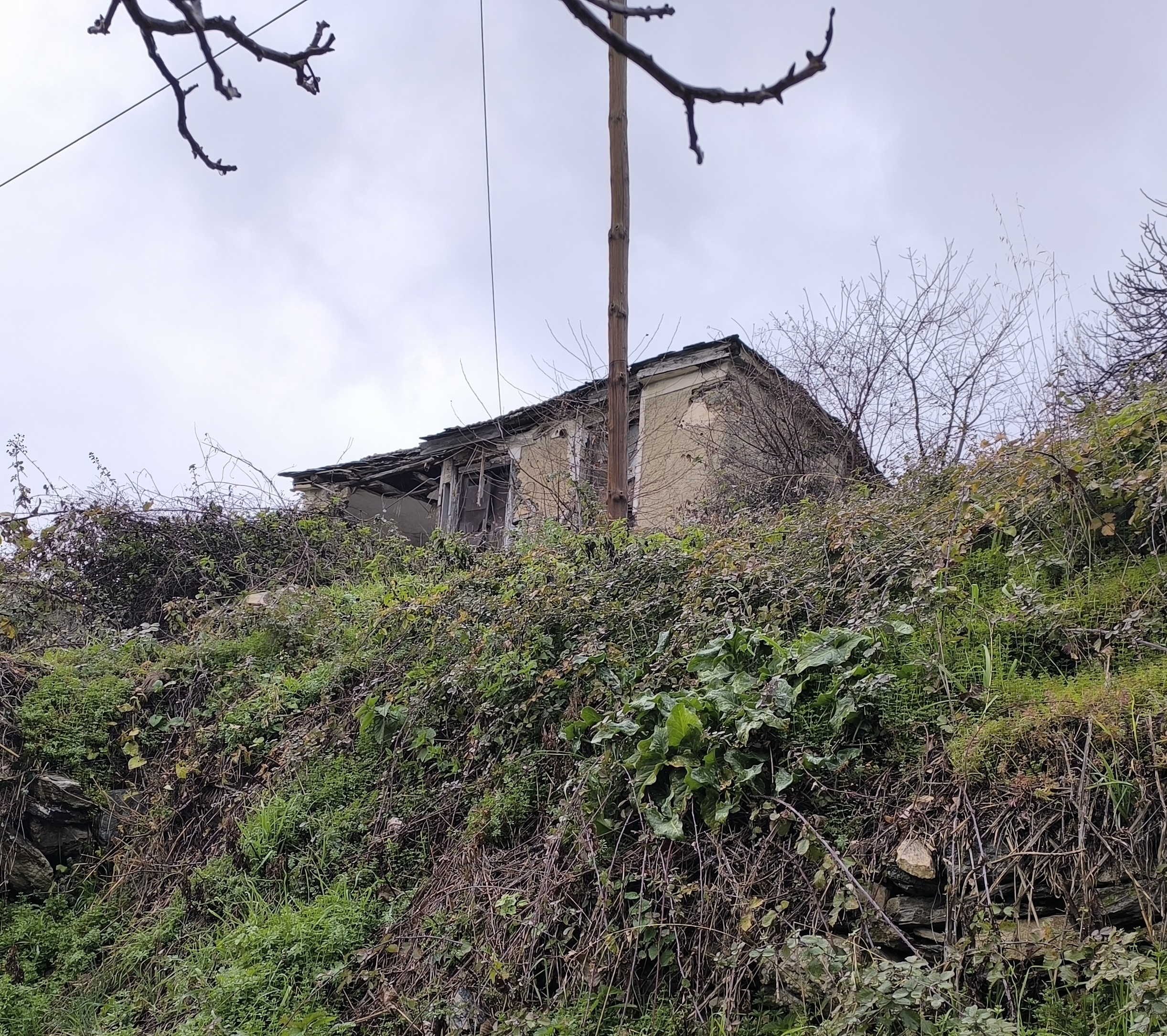 photo1