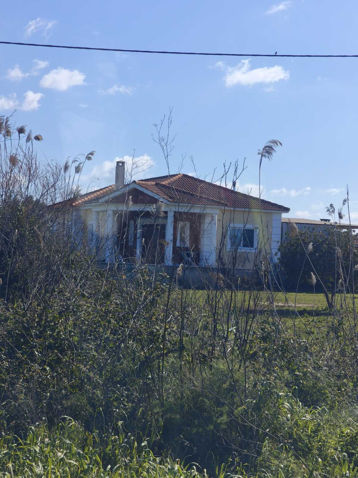 photo1