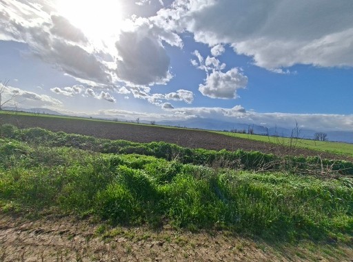 photo0