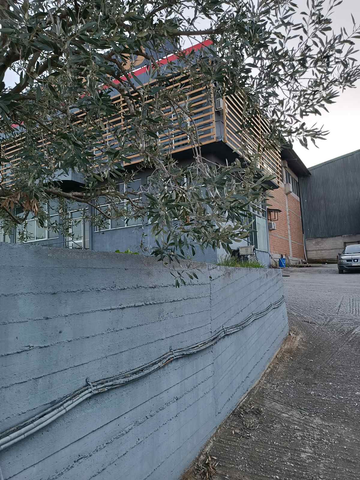 photo1