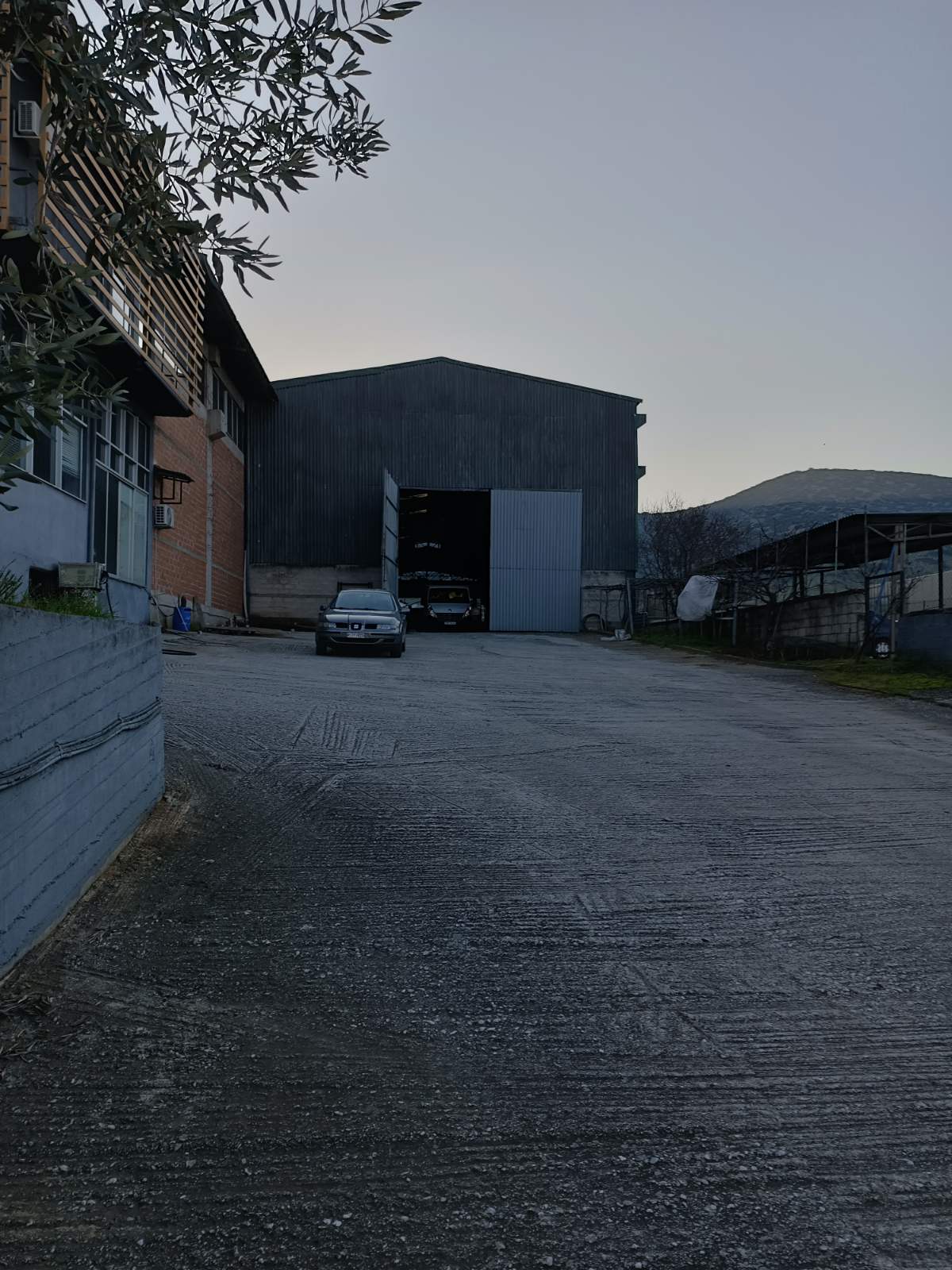 photo5