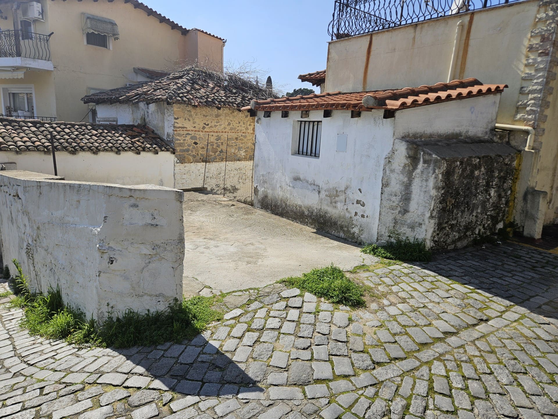 photo1