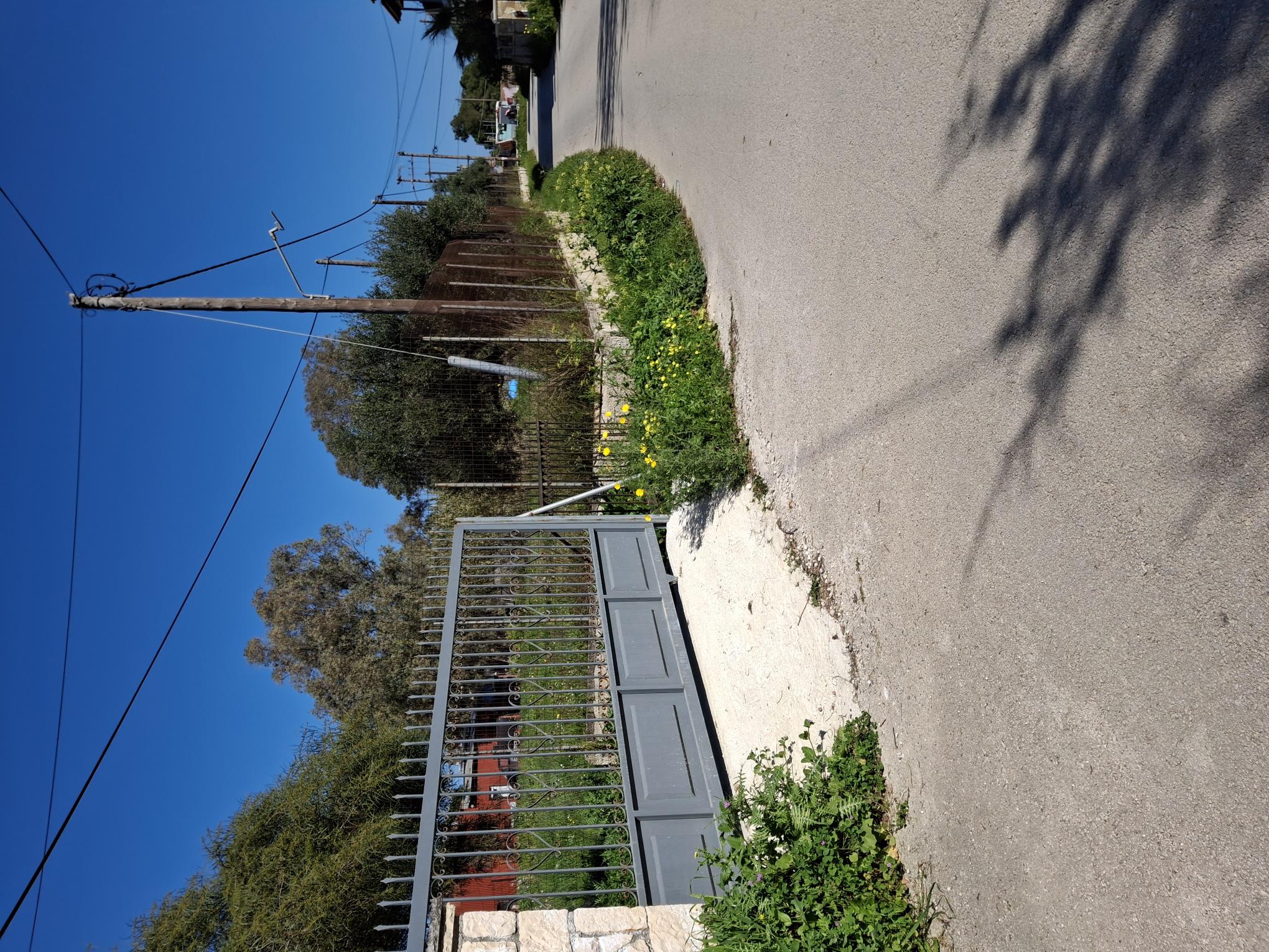 photo1