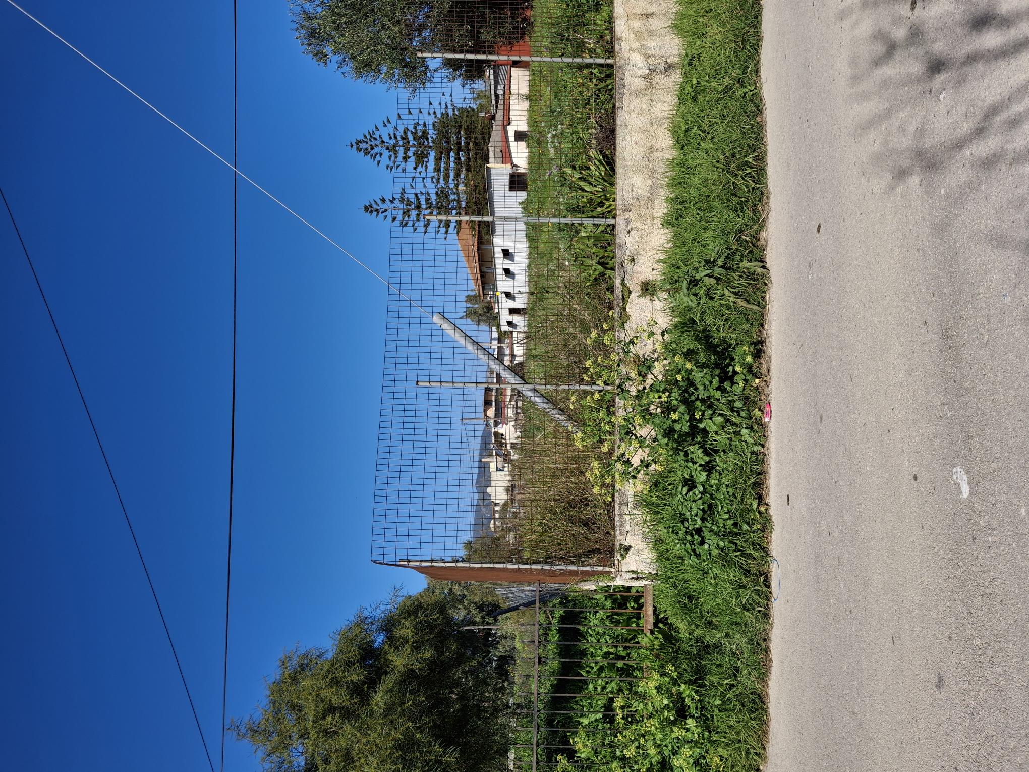 photo2