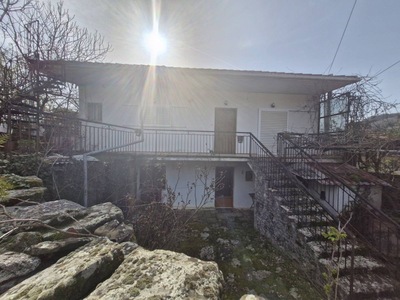 photo0
