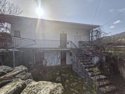 photo2
